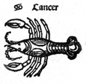 Рак-гороскоп